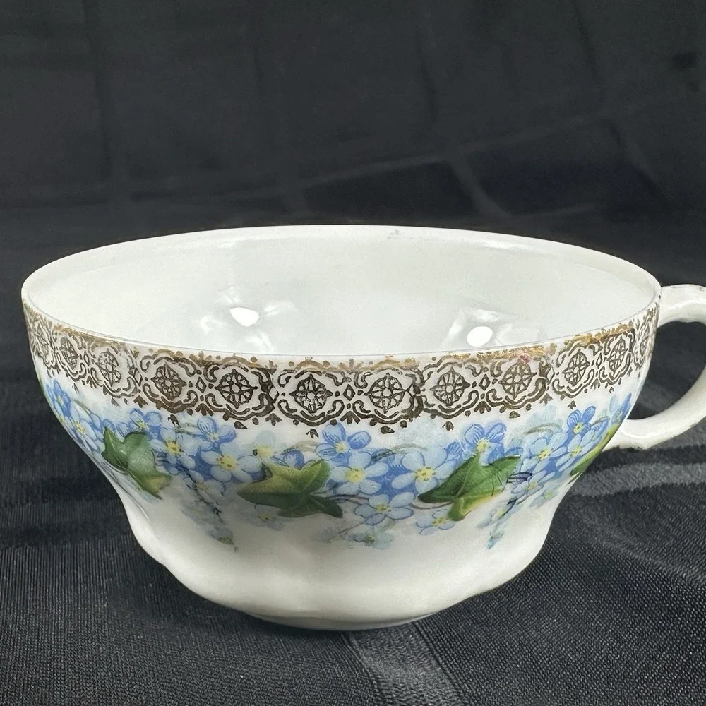 Forget-Me-Not Tea cup Saucer Translucent Fine Porcelain Gold Filigree Ivy ANTQ